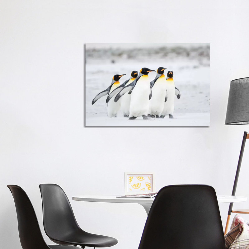 King Penguin On Falkland Islands. by Martin Zwick - Wrapped Canvas Gallery-Wrapped Canvas Giclée