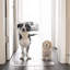 Low Clear Pet Gate Panel-1558938253