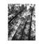 Paysage, arbre foncé, forêt, 2 pièces-1274714110