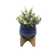 Mistana™ 10.75'' Faux Eucalyptus Plant In Planter & Reviews 