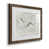 Walnut Paper