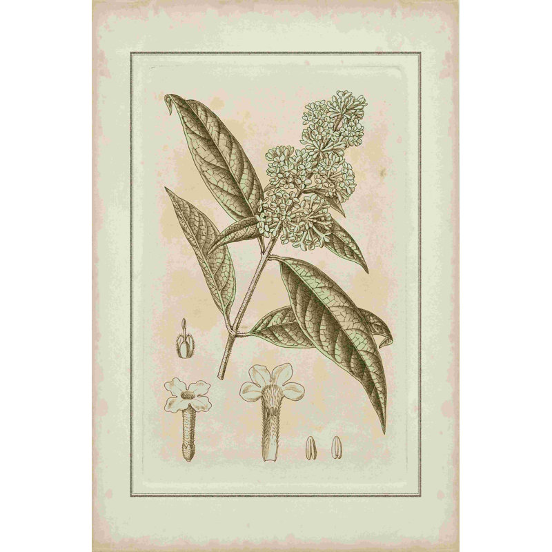 Botanique teinté II, H 48 po x l 32 po