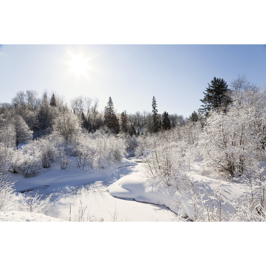 Winter Creek Snow von Gladassfanny - Leinwandbild