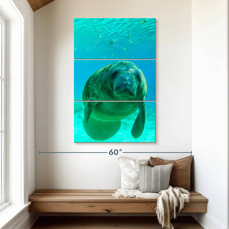Brampt Swimming Manatee, 50" H x 32" W