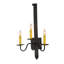Primitive 3 - Light Candle Wall Light