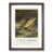 Walnut Framed selected