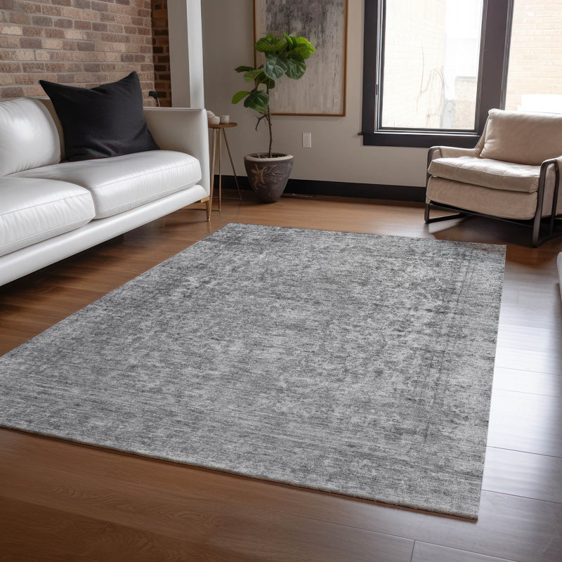 Tapis gris intérieur / extérieur lavable à la machine Claudian ACN1645, Rectangle 2 pi 6 po x 3 pi 10 po