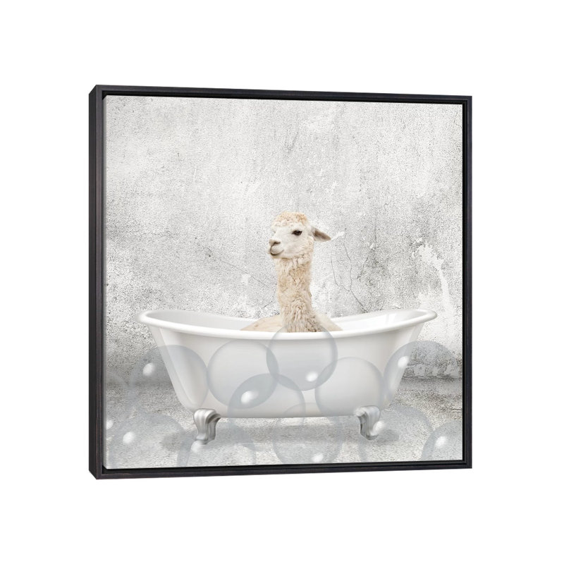«Baby Llama Bath» par Kimberly Allen - impression d'art graphique, H 37 po x l 37 po x P 1,5 po, Toile avec cadre noir patiné