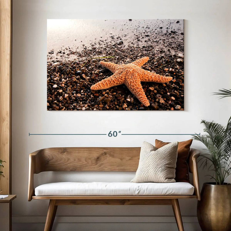 Étoile de mer orange Brampt, H 32 po x l 48 po