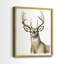 Impression encadrée Handsome Whitetail I-Premium - prête à être accrochée - aucun clou requis - aucun clou requis-137286774-137286773