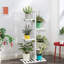Watkin Plant Stand-210138721