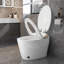 Toilettes une pièce intelligentes avec bidet, conception en céramique, idéales pour les maisons modernes