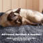 Multilevel Cat Tree Condo with Scratching Posts-176362120