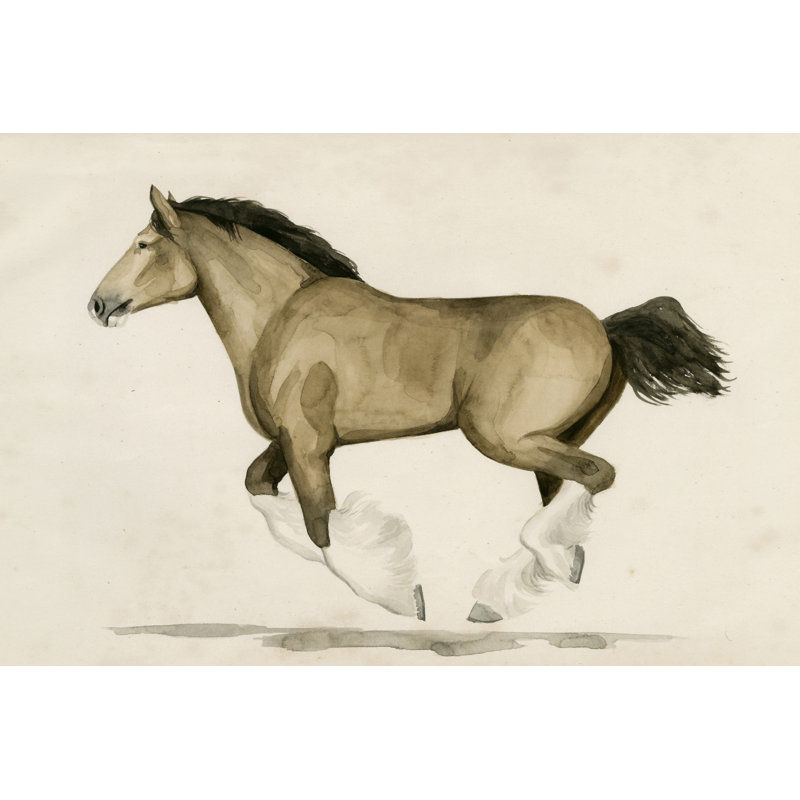 Clydesdale II, H 20 po x l 30 po x P 1,25 po