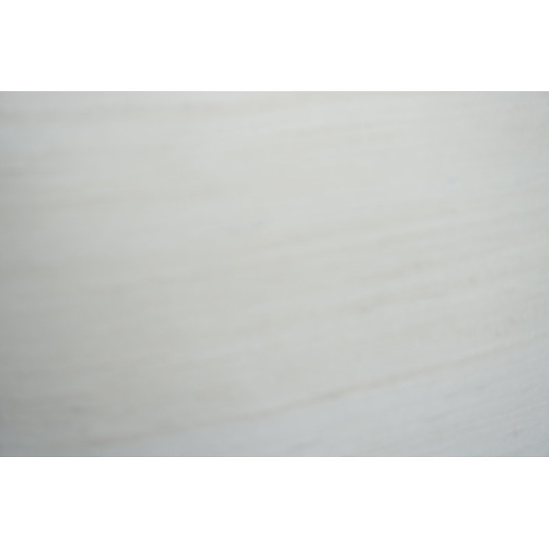 Coussin en soie brute 18 po, Blanc
