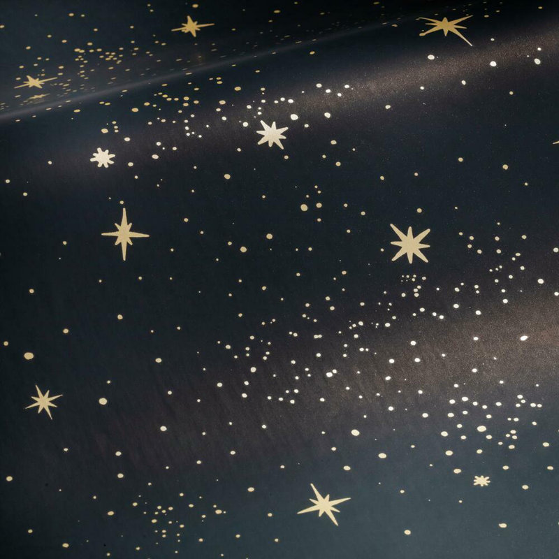Rouleau de papier peint adhésif et adhésif l 16,5 pi x l 20,5 po star Rebecca, Noir