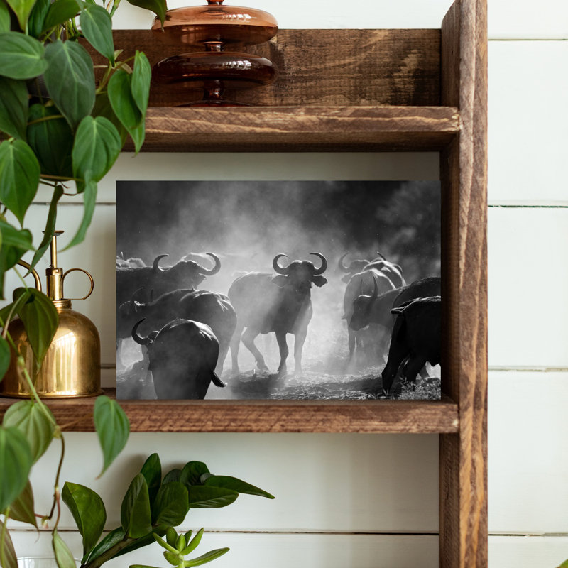 "Dusty Buffalo Herd", art contemporain mural, H 12 po x l 18 po