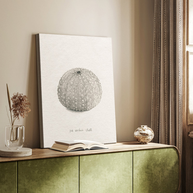 Shore Treasure Study I - galerie sur mesure, H 36 po x l 24 po