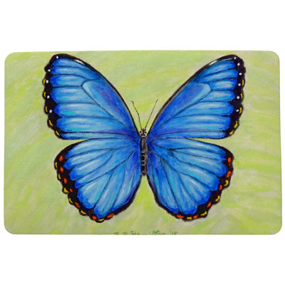 Ronald Non-Slip Outdoor Doormat
