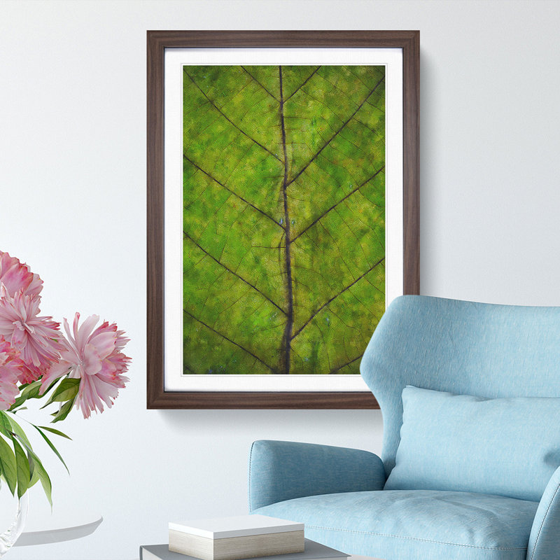 Leaf Lines - Framed Print, 33cm H x 24cm W x 2cm D, Walnut Framed
