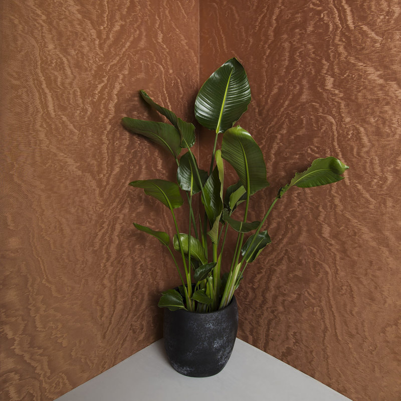 Eclectic 33cm x 70cm Wallpaper Roll, Orange
