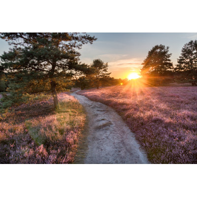 Path Trough Heathland - Wrapped Canvas Print