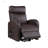 Ricardo Synthetic Leather Power Motion Recliner W/Lift