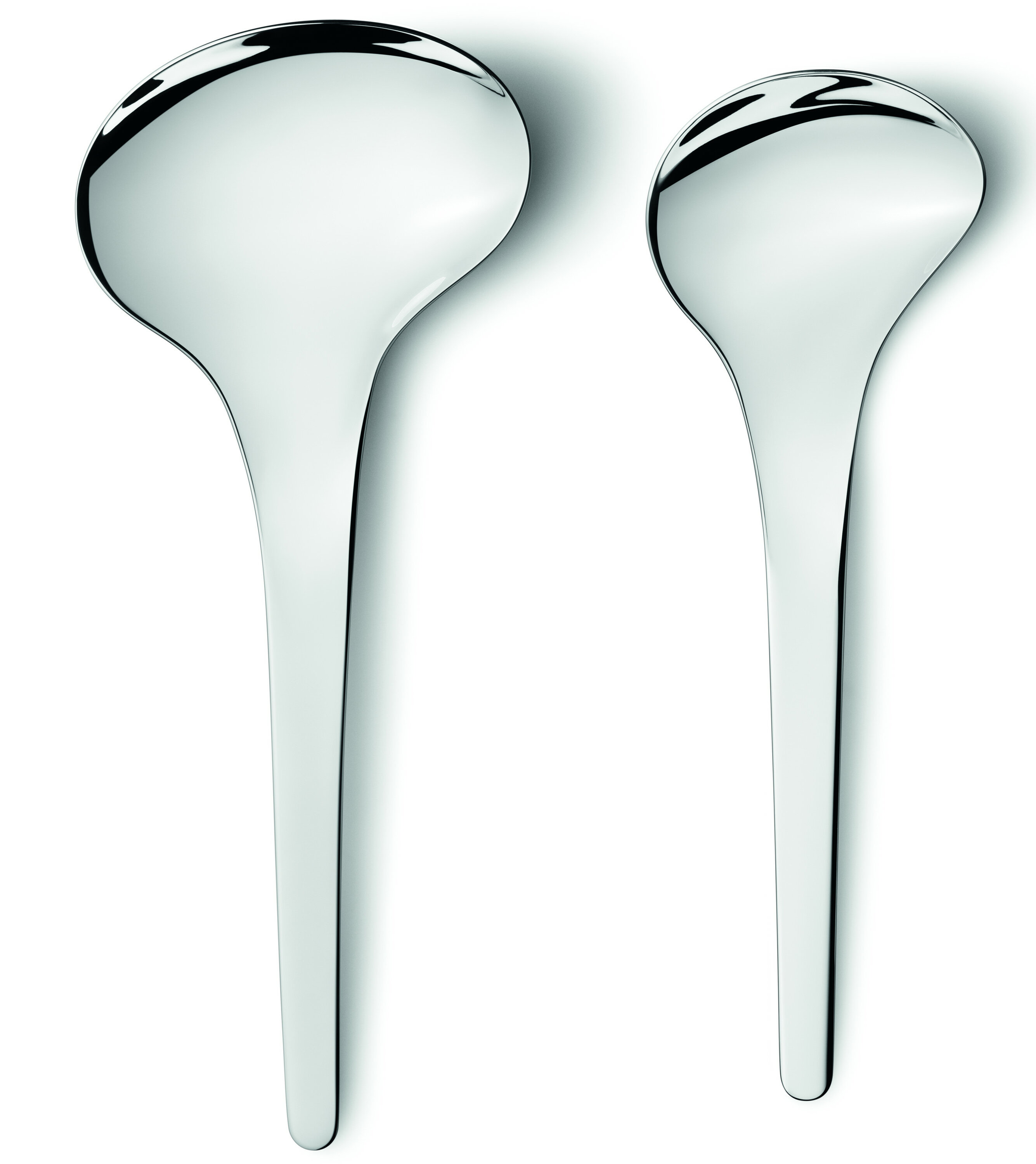 Georg Jensen Bloom 2 Piece Serving Spoon Set | Wayfair