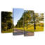 Alvord Bunny Roadside Trees-108819676