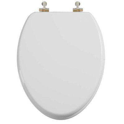 Elongated Toilet Seat and Lid