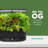 AeroGarden Bounty Basic Black