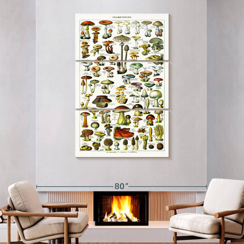 Yarlin Mushroom Varieties, 74" H x 48" W