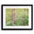 Black Framed Paper is unavailable