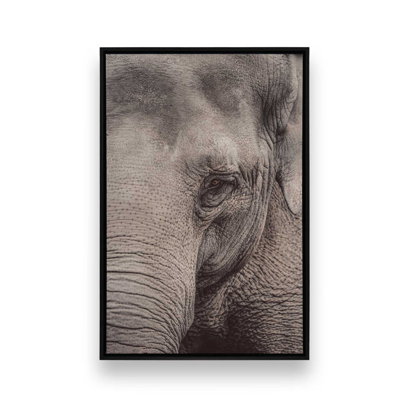 «Wise Gaze», reproduction sur toile, Cadre flottant noir satiné, H 36,75 po x l 24,75 po x P 1,75 po