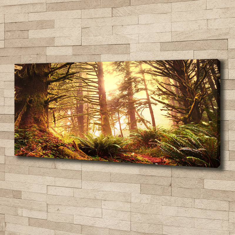 The Rainforest - Wrapped Canvas Print