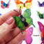 Wall Decal