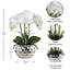 Rowney Arrangement-1274589301