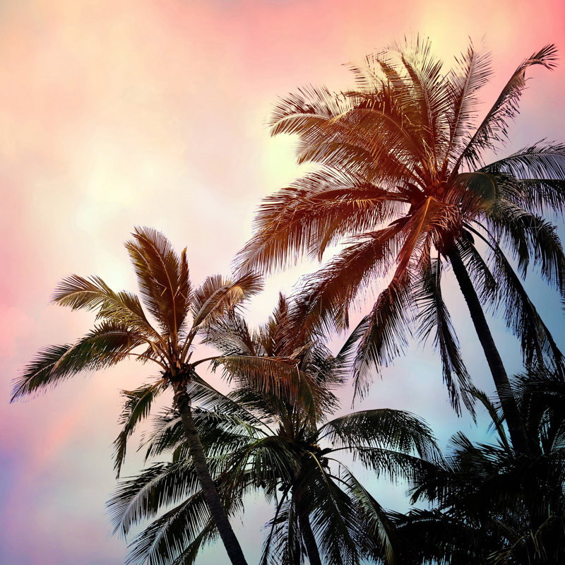 Sylvia Cook - Wrapped Canvas Print, 81cm H x 81cm W x 3.81cm D