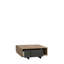 Bissonette Coffee Table with Storage