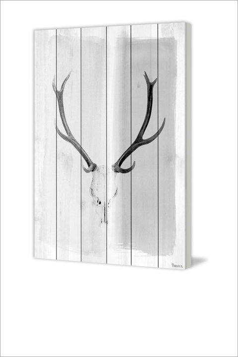 Animal Wall Art