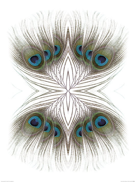 'Peacock Feathers Kaleidoscope' Photographic Print