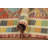 Geometric Kilim Handwoven Rug 4x6