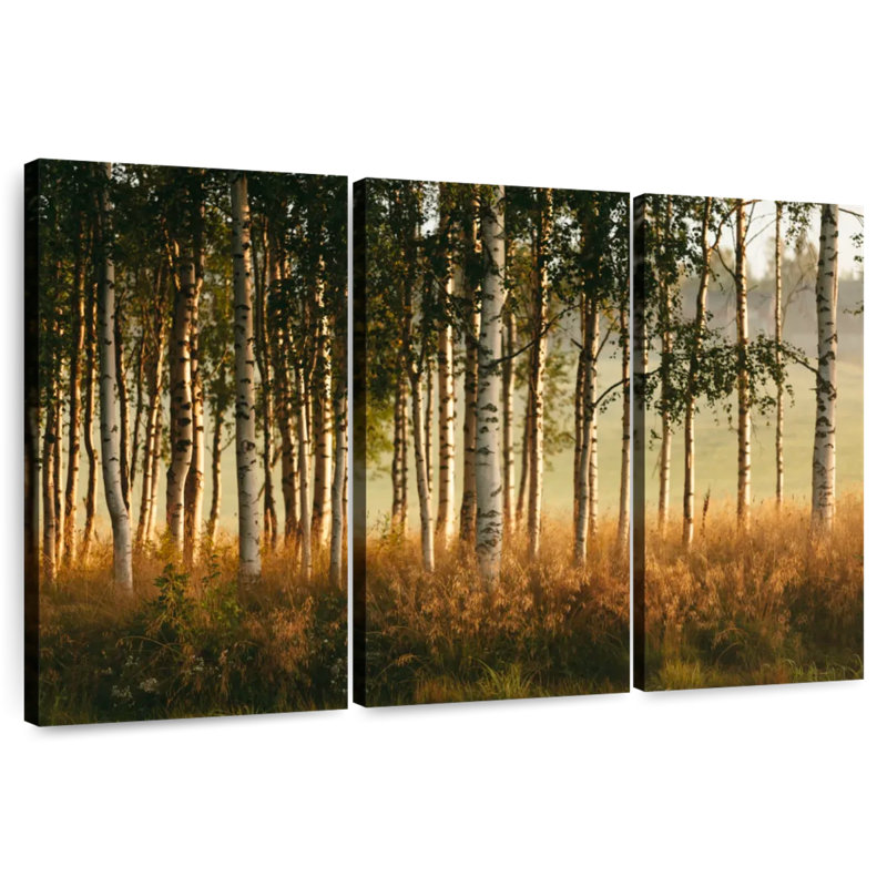 Forêt de bouleaux Harnek Grassy, H 42 po x l 65 po
