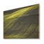 Photographie de prairie verdoyante - Art mural sur bois de pin naturel-101403058