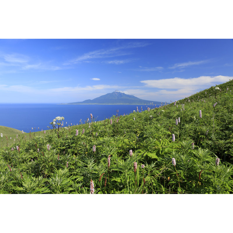 Mt.Rishiri by Kazuto_yossy - Wrapped Canvas Print, 30cm H x 46cm W 