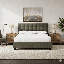 Avery Upholstered Panel Headboard Design-1593267965