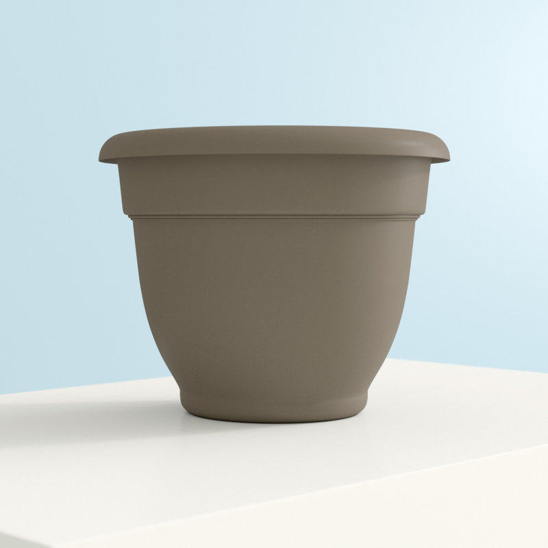  Ariana 13.75 in. H X 17.75 in. W X 16 in. D Plastic Traditional Planter Peppercorn, 13.75" H x 17.75" W x 17.75" D