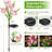 Multi-color Flower Lights – High-efficiency Solar Panel, 8-10h Working Time For Yard/lawn/pathway Garden Decor Must-have