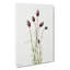 Purple Prairieclover by Mary Vaux Walcott - Wrapped Canvas-61837160
