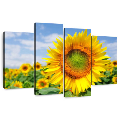 Champ de tournesols Harnek Akeno